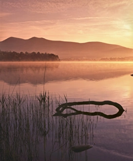 Mist rising on Derwent Water at dawn, Lake District National Park, Cumbria