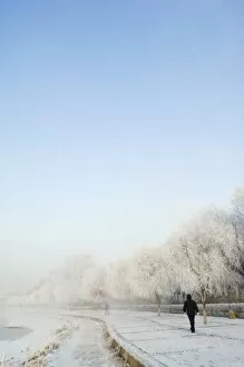 Images Dated 5th February 2008: Mist rising off Songhua River and ice covered trees in winter, Jilin City