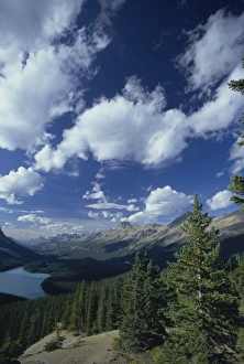 Rockie Prints: The Mistaya Valley and Peyto Lake, Banff National Park, UNESCO World Heritage Site
