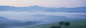 Val Dorcia Prints: Misty dawn view across Val d Orcia towards the Belvedere