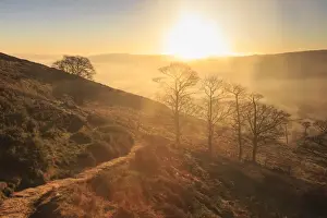 Winter Scene Prints: Misty and frosty sunrise over skeletal trees above the Hope Valley in winter, Castleton
