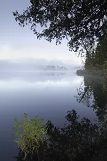 Images Dated 28th September 2007: Misty morning, Malberg Lake, Boundary Waters Canoe Area Wilderness, Superior National Forest