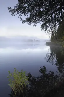 Superior National Forest Prints: Misty morning, Malberg Lake, Boundary Waters Canoe Area Wilderness