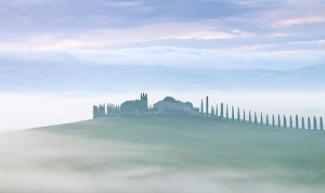 Cypress Prints: Misty morning in the Val d'Orcia, UNESCO, Tuscany, Italy