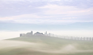 Pastoral Prints: Misty morning in the Val d'Orcia, UNESCO, Tuscany, Italy