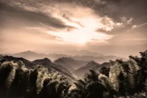 Zhejiang Prints: Misty mountains with Bamboo forest in a secluded region of Zhejiang, China, Asia