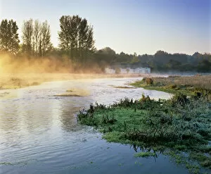 Mist Collection: Misty River Test on Chilbolton Common, Wherwell, Hampshire, England, United Kingdom, Europe
