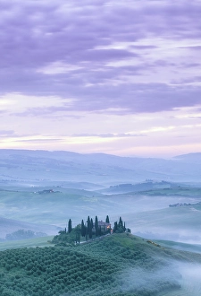 Cypress Prints: Misty sunrise over Belvedere, Val d'Orcia, UNESCO, Tuscany, Italy