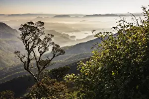 Misty sunrise view of mountains on the climb up Adams Peak (Sri Pada) in the Central Highlands of Sri Lanka, Asia
