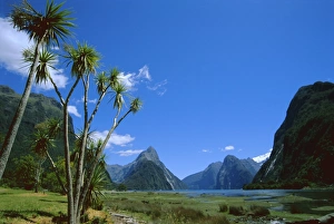 Mitre Peak