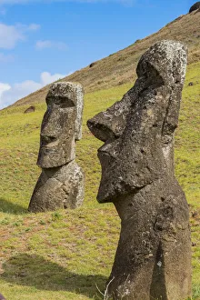 Moai heads of Easter Island, Rapa Nui National Park, UNESCO World Heritage Site