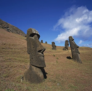 Moai Prints: Moai statues carved from crater walls, on the southern slopes of Volcan Rano Raraku