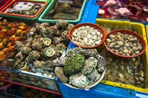 Fish Market Prints: The modern fish market in Busan, South Korea, Asia
