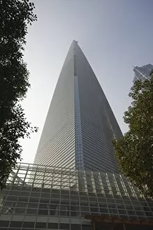 Images Dated 5th January 2008: Modern skyscrapers and mainland Chinas highest building, the International Finance Center in Pudong New Area