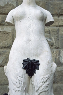 Nude Prints: Modesty, Florence