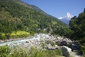 Machapuchare Prints: Modi River valley with views of Machhapuchhare (Fish Tail), trek from Ghandruk to Nayapul