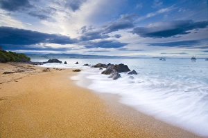 Images Dated 3rd December 2008: Moeraki, Otago, South Island, New Zealand, Pacific