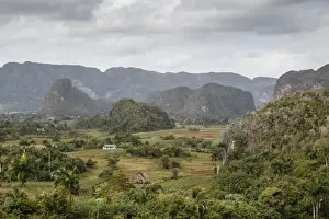 Pinar Del Rio Prints: Mogotes in the Vinales Valley, UNESCO World Heritage Site
