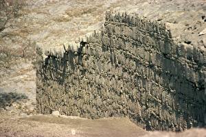 Mohra Moradu