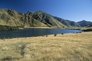 Moke Lake, west of Queenstown