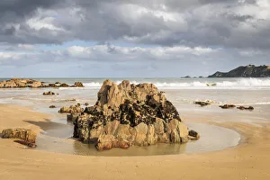 Puddle Prints: Molyneux Bay, Otago, South Island, New Zealand, Pacific