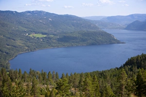 Images Dated 7th August 2009: Momrak, Telemark, Norway, Scandinavia, Europe