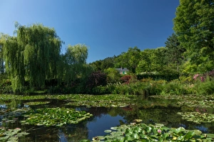 Nymphaeaceae Prints: Monets house behind the waterlily pond, Giverny, Normandy, France, Europe