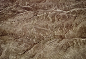Nazca Prints: The Monkey Geoglyph, aerial view, Nazca, UNESCO World Heritage Site, Ica Region, Peru