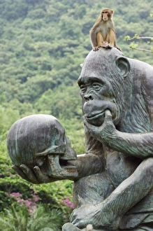Images Dated 23rd January 2000: Monkey Island research park, Hainan Province, China, Asia