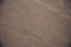 Peru Prints: Monkey, Nazca (Nasca) Lines