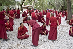 Monk Prints: Monks learning session, with masters and students, Sera Monastery, Tibet, China, Asia