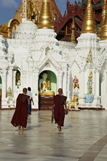 Traditionally Burmese Prints: Monks, Shwedagon Paya, Yangon (Rangoon), Myanmar (Burma), Asia
