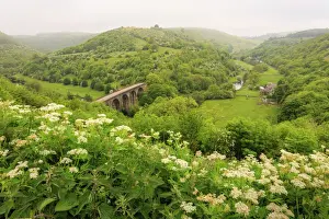 Derbyshire Prints: Monsal Trail crosses Monsal Dale on Monsal Head viaduct, limestone dale scenery in summer