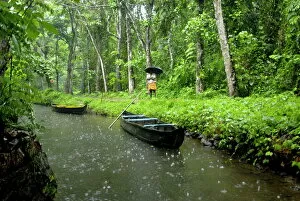 Images Dated 24th May 2006: Monsoon rain, Kerala, India, Asia