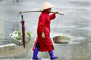 Conical Hat Prints: Monsoon (rainy) season, Sapa, Vietnam, Indochina, Southeast Asia, Asia