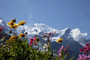 Background Focus Prints: Mont Blanc, Chamonix, Haute Savoie, French Alps, France, Europe