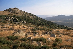 Lozere Prints: Mont Lozere, near Finiels, Cevennes National Park, Lozere, Languedoc-Roussillon