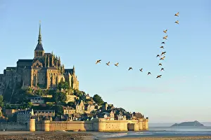 Manche Prints: Mont-Saint-Michel bay and Abbey