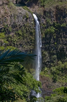 Images Dated 30th August 2008: Montagne d Ambre, Madagascar, Africa