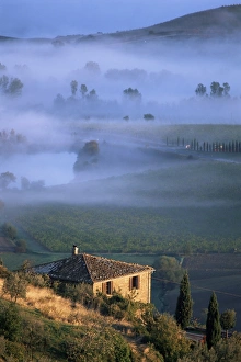 Montalcino
