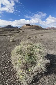 Montana del Cuervo, Parque Natural de los Volcanos, Lanzarote, Canary Islands, Spain, Atlantic, Europe