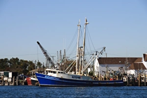 Images Dated 31st October 2008: Montauk Harbour, Montauk, Long Island, New York State, United States of America