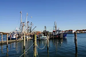 Images Dated 31st October 2008: Montauk Harbour, Montauk, Long Island, New York State, United States of America