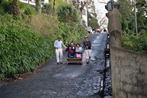 Sled Prints: Monte, Madeira