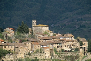 Hill Village Prints: Montefiorale