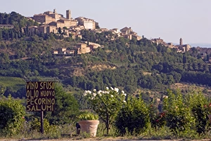 Images Dated 26th July 2007: Montepulciano, Val d Orcia, Tuscany, Italy, Europe