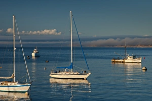 Images Dated 6th May 2009: Monterey, California, United States of America, North America
