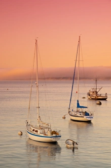 Images Dated 6th May 2009: Monterey, California, United States of America, North America