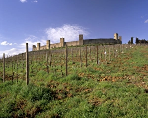 Hill Town Prints: Monteriggioni