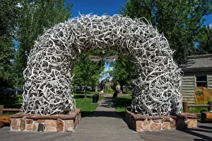 Parks Prints: Monument of deer bones at a park in Jackson Hole